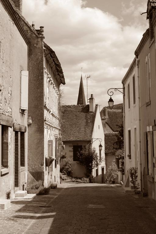 Вилла Le Meuble Monestois Mennetou-sur-Cher Экстерьер фото