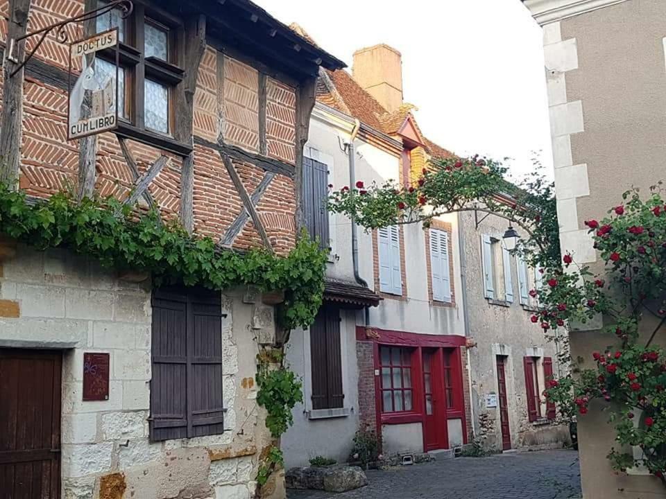 Вилла Le Meuble Monestois Mennetou-sur-Cher Экстерьер фото